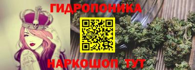 гашик Заводоуковск