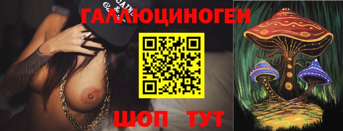 Галлюциногенные грибы прущие грибы Малгобек